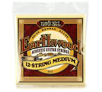 Ernie Ball 2012 Earthwood 12 String Corde Chitarra Acustica