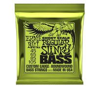 Ernie Ball 2852 Regular Slinky Short