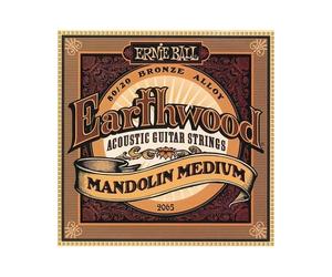 ERNIEBALL EARTWOOD MANDOLINO MEDIUM 2065 MUTA PER MANDOLINO