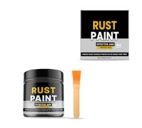 Eroison Converter Paint da 100 g, include pennello per proteggere i metalli e formule ad asciugatura rapida, per uso automobilistico e domestico, vernice per riparazione metalli