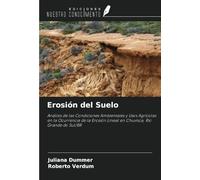 Erosión del Suelo: Análisis de las Condiciones Ambientales y Usos Agrícolas en la Ocurrencia de la Erosión Lineal en Chuvisca, Rio Grande do Sul/BR