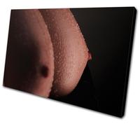 Erotic Sexy Female NUDES SINGLE TELA parete arte foto stampa