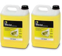ERRECOM Yellow Cool, Liquido Radiatore Giallo Fluorescente -10°C/+103°C, antigelo G12 con Pacchetto inibitore a Base Organica Oat, Pronto all’Uso, 5 Litri (Confezione da 2)