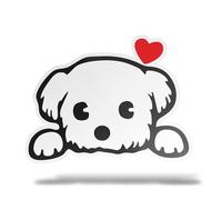 ERREINGE - Adesivo 10 cm CANE MALTESE - Sticker PVC | Decal compatibile per Auto, Moto, Scooter, Casco, Laptop, Camper, Cofano, Bici