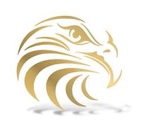 ERREINGE STICKER PRESPAZIATO ORO 12cm - FALCO DX - Adesivo Decal Decalcomania Vinile Murale Laptop Auto Moto Casco Camper