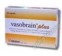 errekappa euroterapici Vasobrain Plus 24 Capsule