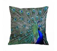 ERRTU Federe per Cuscini,Cuscini Divano Fodera per Cuscino Casa Soggiorno Camera da Letto Decorazione per Interni,il magnifico pavone maschio,50x50 cm