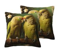 ERSDWRE Federa decorativa per cuscino con stampa di pappagalli con coppia di pappagalli, per divano e letto