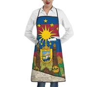ERSDWRE Grembiule da cucina con stampa astratta della bandiera dello stato dell'Idaho 02, grembiule da cucina con tasche, unisex, grembiule da cuoco per barbecue e giardinaggio