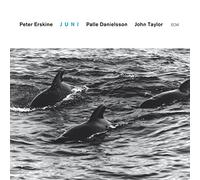 Peter Erskine Trio Juni (CD) Album