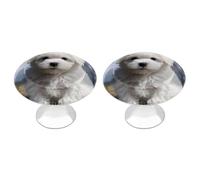 ERSTSNCK Bichon Frise Pomelli per armadietti a forma di cane, foro singolo, con vite, semplici pomelli rotondi per armadietti da cucina, cassettiere, armadi da bagno e armadi