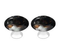 ERSTSNCK Pomelli per armadietti a forma di cane bernese, con foro singolo, con vite, semplici pomelli rotondi per armadietti da cucina, cassettiere, armadi da bagno e armadi
