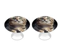 ERSTSNCK Pomelli per armadietti a forma di gatto, con foro singolo, con vite, semplici pomelli rotondi per armadietti da cucina, cassettiere, armadi da bagno e armadi