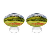 ERSTSNCK Tuscany Spring Pomelli per armadietti a foro singolo solido con vite Pomelli rotondi semplici per armadietti da cucina per cassettiere da cucina armadi e armadi da bagno