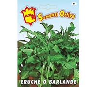 Eruche o Barlande insalata semi in busta