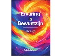 Ervaring is bewustzijn: Wat blijft