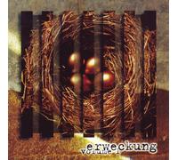 Erweckung Volume 1 - Diverse Interpreten