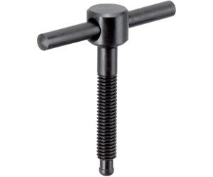 Erwin Halder Normteile Viti a Testa Svasata DIN 6304 con bavella Fissa/Senza Pressione, Forma E | d1 = M16 / l1 = 90 mm | 24490.0017