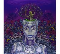 Erykah Badu New Amerykah Part Two: Return of the Ankh (Vinyl LP)
