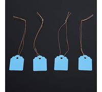 ERYUE 200 Etichette Durevoli in PVC per Fiori Appesi, per Vassoi e Vasi Semi, Ideali L'identificazione delle Piante, Adatte gli Appassionati di Giardinaggio e i Proprietari di Vivai (Blu)