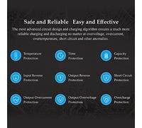 ERYUE D6 Caricabatterie Intelligente a Doppio Canale Ricarica Efficiente per Batterie Lipo NiMH-Ricarica Wireless per X, S8-Aerea RC Giocattoli e Hobby, 325 W X 2