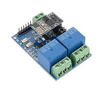 ERYUE Modulo relè WiFi a Doppio Canale Interruttore Remoto Smart Home per Modulo IOT Controllo APP Telefono per gli Appassionati di Automazione Domestica