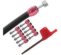 ERYUE Set di Olivi con Testa di Oliva Ad Alta Durezza, Facile da Installare per Freno StealthamaJig, Kit Accessori per Bicicletta Professionale Dischi Olio Serie Completa