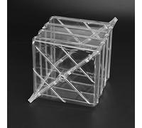 ERYUE Stampo per Modellare la Zucca di Anguria Stampo per la Crescita Facile da Usare Giardinieri A Forma di Cuore/quadrato Materiale PE Ecologico Colore Trasparente Dimensioni 15 X 15 Cm Anguria,