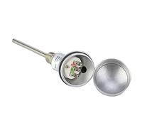 ERYUE Testa Terminale Termocoppia Filettata Sonda Sensore di Temperatura PT100 1/2" NPT -200~450 ℃ Rilevatore di Temperatura Resistenza in Acciaio Inossidabile per Ingegneri (ERYUEm2xnd5hbiy-02)