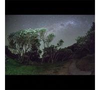 Esben and the Witch Older Terrors (Vinyl LP) 12" Album