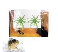 Esca a Forma di Riccio di Mare - 2 Pezzi in Silicone Morbido Galleggiante con Design Realistico - Dice Fishing Lure - per Jigging Traina Lancio in Acqua e Salata Fiumi Laghi Torrenti Vacanze