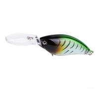 Esca da Pesca con Labbro Lungo per getto Lontano Esca da Pesca(C) | Occhi 3D realistici, scaglie simulate, vivaci, attira predatori, visibilità alta