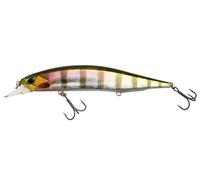 Esca DUO Realis Jerkbait 120SP 12cm 18g Suspending Esche NUOVI COLORI