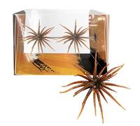 Esca morbida a tema riccio di mare per spigola, orata e mandarino, compatibile con ganci offset e opzioni di sartiame con testa a maschera (marrone)