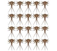 Esca morbida Maggio Esca Morbida | 20x Fly Realisty Fly Bait Fish, componenti del corpo ninfale, Kit realistico con mosca per lac