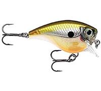 Esca per Banconote Quadrata con Ganci 2 N. 6, Profondità di Nuoto 1.8m, 5cm Dimensioni, Falciatore