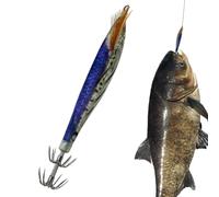 Esca per calamari, realistica, luminosa e affondante con | Esca d'acqua salata per pescatori e pescatori in barca durante la pesca di pesci di fondo vicino alla costa
