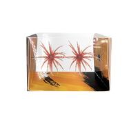 Esca per e Spigole - 2 Pezzi Esca da in Silicone Morbido Galleggiante - a Dado per Spigola - per Jigging Traina Lancio in Acqua e Salata Fiumi Laghi Torrenti Vacanze