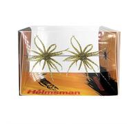 Esca per noccioli neri, 2 esche simulate per ricci di mare, 2026 galleggianti a palloncino d'acqua, esche morbide, ricci di mare artificiali, vermi morbidi, spigola, pesce mandarino, testa di serpente