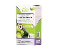 Esca per Trappola Cimice Asiatica CONF.PZ.2 Inverde