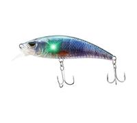 Esca Pike Acqua Dolce - Esca Robotica Autonoma Ricaricabile USB | Esca Vibrante con Luce LED per la Pesca in Lago e Sport All'Aperto Trota