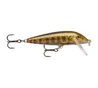 Esca subacquea Rapala countdown® 8g Jaune 7 cm