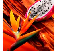 ESCADA Bali Paradise Eau de toilette 50 ML donne