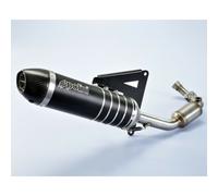 Escape Completo Polini Evolution Per Moto Ricambi Accessori Parti