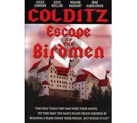 Escape of the Birdmen