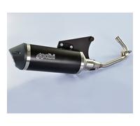 Escape Polini Maxi Scooter Vespa Primavera 125 Per Moto Ricambi Accessori