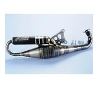 Escape Polini Minarelli Big Evolution 94C Per Moto Ricambi Accessori Parti