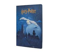 Escape to Hogwarts (Harry Potter Collection) A4 Grid Cahier