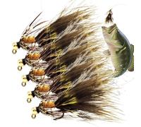 Escce per Spigola | 5 Pezzi Affondanti con Ami Jig in Scatola | Kit Esca per al Bass | per Trota, Persico Trota, Pesce Gatto, Luccio, in Mare, Lago, Fiume, Uomo tore