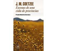 Escenas de una vida de provincias